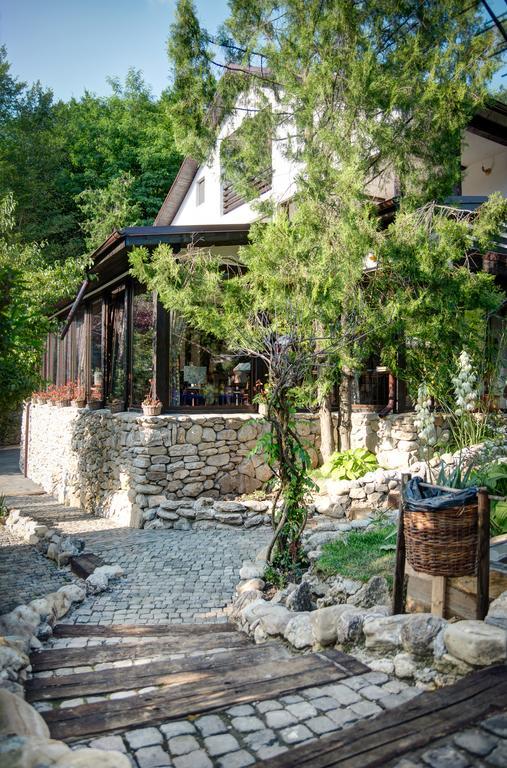 Pensiune-Restaurant Tara Luanei Sărata-Monteoru Exterior photo